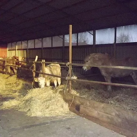 度假居 At The Gau Family's In Poggenhof 沙普罗德